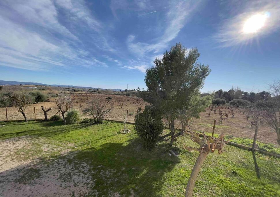 Casa Rural Cal Caseto Font-Rubi Buitenkant foto